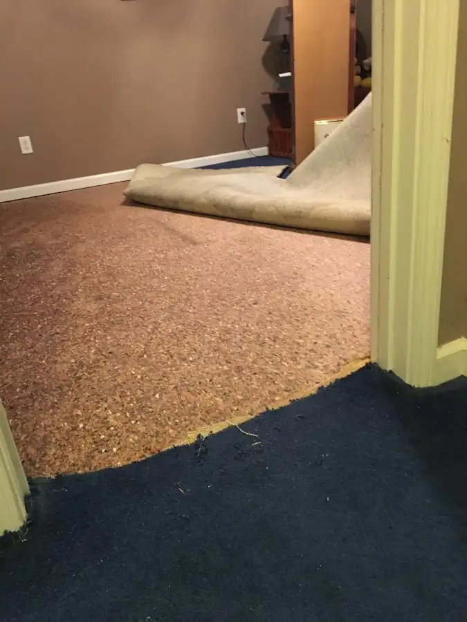 Carpet pad removal revealing water damage during Drying & Dehumidification in Uwchlan
